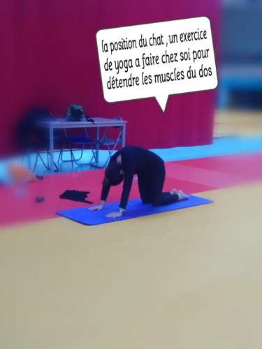 yoga3.jpg
