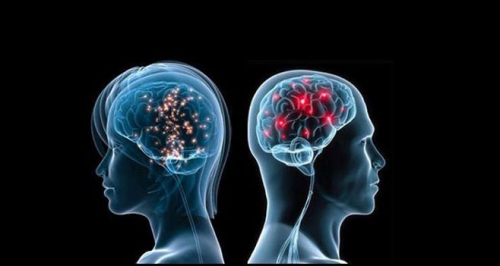male-vs-female-brain.jpg